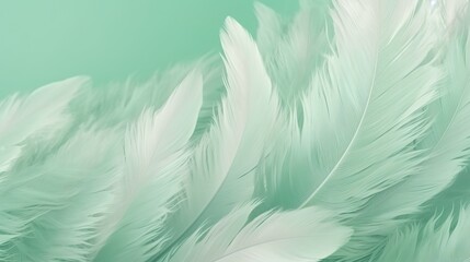 Green Feathers Pastel Color Background 