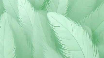 Green Feathers Pastel Color Background 