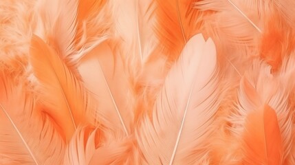 Orange Feathers Pastel Color Background 