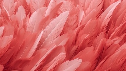 Red Feathers Pastel Color Background 