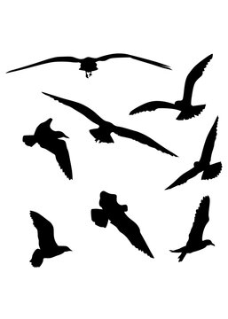 Flock of birds in flight. Isolated silhouette on white background