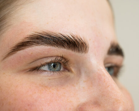 Close-up portrait of a woman after the procedure of correction and lamination of eyebrows. 