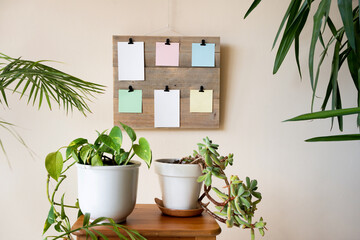 wooden board with clips on which hang coloured post it, board surrounded by plants in the interior space of the house to remember the things to do.