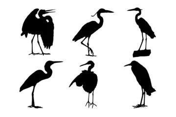Foto op Plexiglas Set of silhouettes of heron birds © ydhckll
