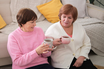 Senior tea party: Two smiling mature women relishing tea time and lively conversations in a cozy and inviting living room space