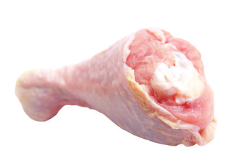 Chicken leg isolated 