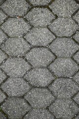 stone pavement texture cobblestones