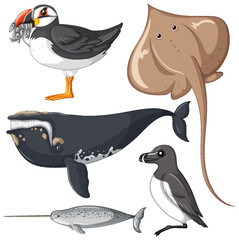 Fototapeta premium Set of animal cartoon