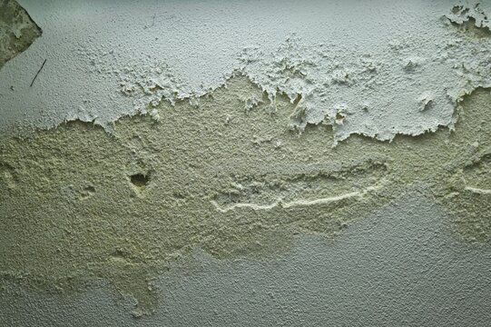 Mold On A Damp Old Basement Wall