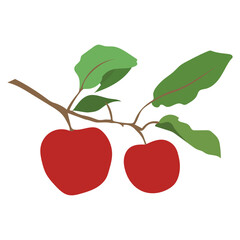Red apple with leaves vector design.