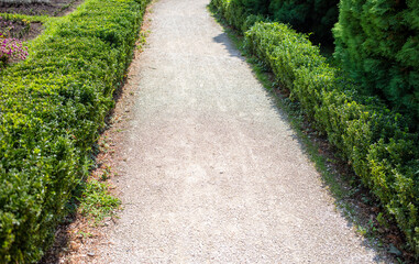 Fototapeta na wymiar Walking path in the park in summer