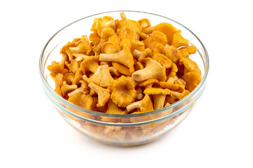Raw fresh chanterelles mushrooms, isolated on white background.