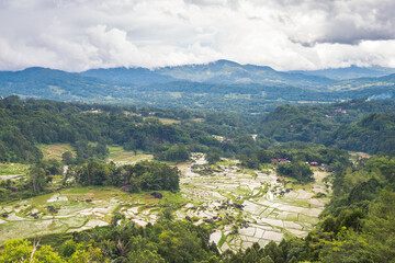 Fototapeta na wymiar aerial view of rice terrace field in indonesia