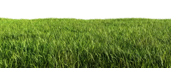 Papier Peint photo autocollant Herbe Green grass meadow isolated on transparent background