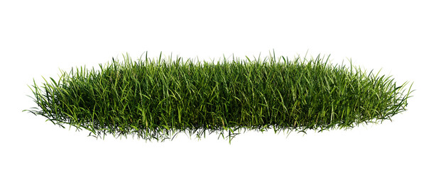 Green grass meadow isolated on transparent background