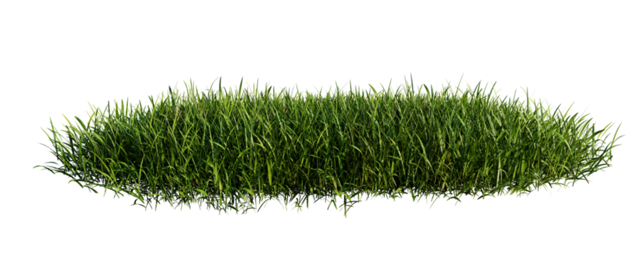 Green grass meadow isolated on transparent background