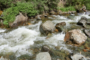Naklejka na ściany i meble Running water in a mountain river, close-up.