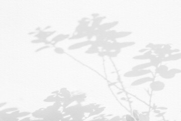 Leaf shadow and light on wall blur background. Nature tropical leaves tree branch plant shade sunlight on white wall texture shadow overlay effect foliage mockup, graphic layout, wallpaper, design