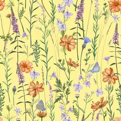 Meadow flowers and herbs  seamless pattern. Common blue butterflies and meadow cornflowers, Consolida regalis, Chamerion angustifolium, Cosmos flower.