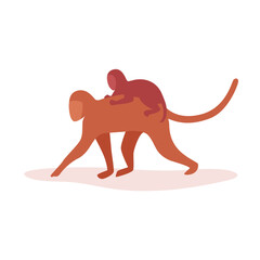 Mother monkey walking with baby monkey on back. Cute monkeys flat cartoon vector illustration isolated on white background