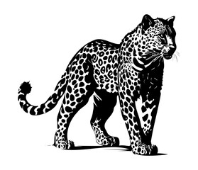Leopard, Silhouettes Leopard Face SVG, black and white Leopard vector	