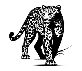 Leopard, Silhouettes Leopard Face SVG, black and white Leopard vector	