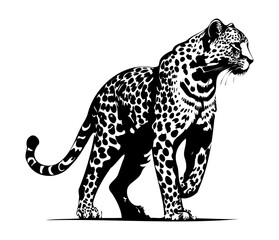 Leopard, Silhouettes Leopard Face SVG, black and white Leopard vector	