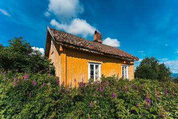 Fototapeta na wymiar an abandoned, ocher yellow house in the willow-herb blossoming