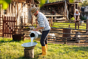Portrait of young farmer pours milk into can at his elocogical farm. Concept of milk production and...