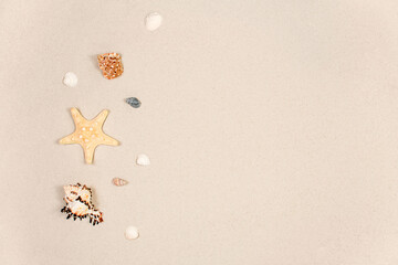 Sea shells and a star on the sand of a summer beach as a background. Copyspace.
