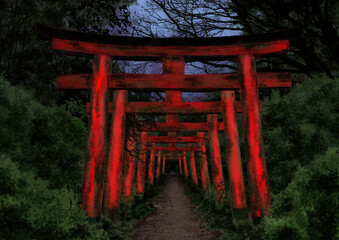 薄暗い曇りの森の中の神社の連なった鳥居