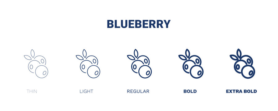 blueberry icon. Thin, light, regular, bold, black blueberry icon set from vegetables and fruits collection. Editable blueberry symbol can be used web and mobile