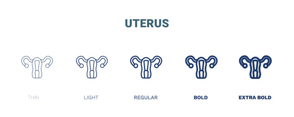 uterus icon. Thin, light, regular, bold, black uterus icon set from medical collection. Editable uterus symbol can be used web and mobile