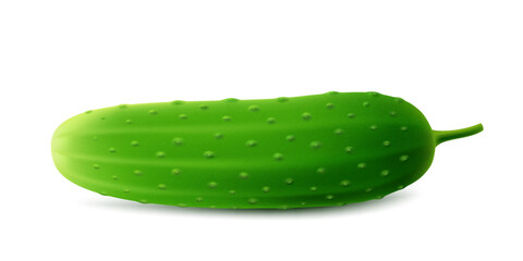 Green cucumber. Image of a ripe green cucumber. Fresh vegetarian product. Realistic 3d vector illustration isolated on a white background