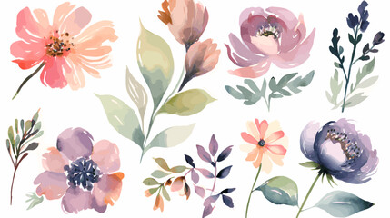 watercolour vector flowers