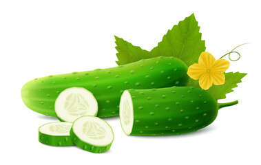 Realistic Detailed 3d Green Raw Whole Cucumbers, Slices, Flower and Leaves Element for Salad Recipe, Market. Vector illustration