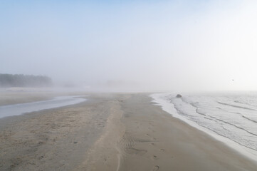 Fog on Baltic sea coastline at spring. Moody weather, mist