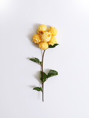 Popcorn arranged in flower shapes
