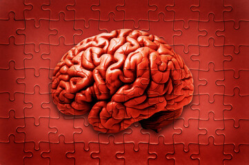 human brain and jigsaw puzzle, psyche and mind concept