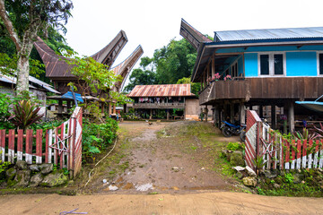 Fototapeta na wymiar traditional tongkonan houses in rantepao village, indonesia