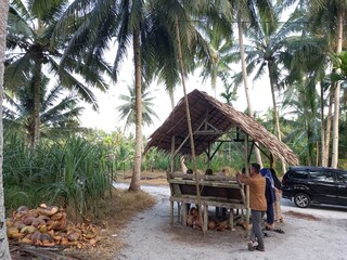 Batubara, Indonesia - April 24 2023: A cottage with a thatched roof sits among palm trees and tropical vegeatation on an district in Batubara, Indonesia.