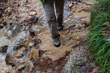 Fototapeta premium 湧き水が流れる登山道を歩