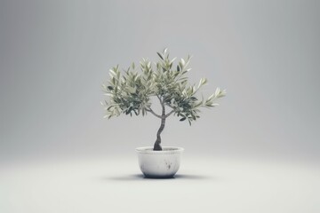potted olive tree in a minimalist white bowl. Generative AI