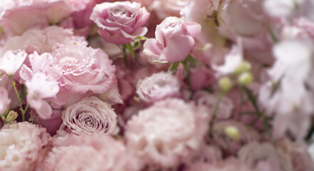 ピンクのカーネーションの花びらのアップ、バラの花束のマクロ接写　カードサイズ、母の日の背景（コピースペース
