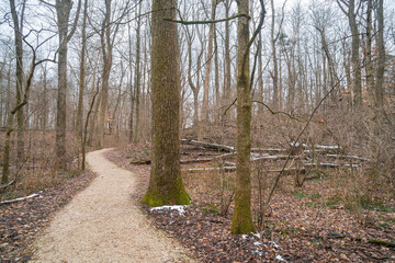Obraz premium Trail Through the Woods at Abraham Lincoln Birthplace National Historical Park
