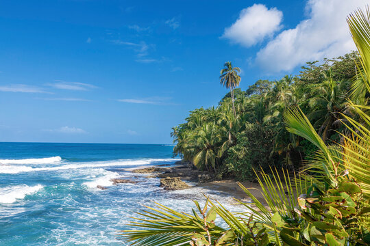 waterfront scenery with palm trees near Manzanillo Costa-Rica