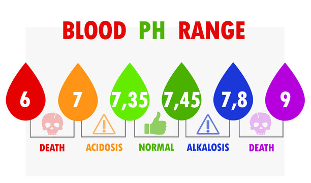 Human blood ph levels. From normal to dangerous levels. Medical illustration.