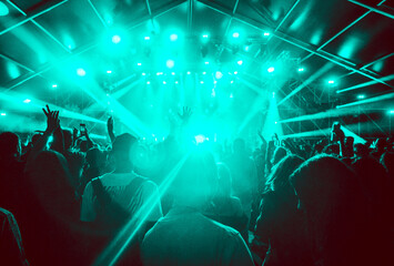 crowd at concert - summer music festival