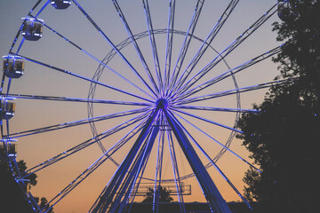 ferries wheel illuminated at night