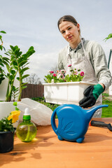 a beautiful caucasian woman planting flowers in pots